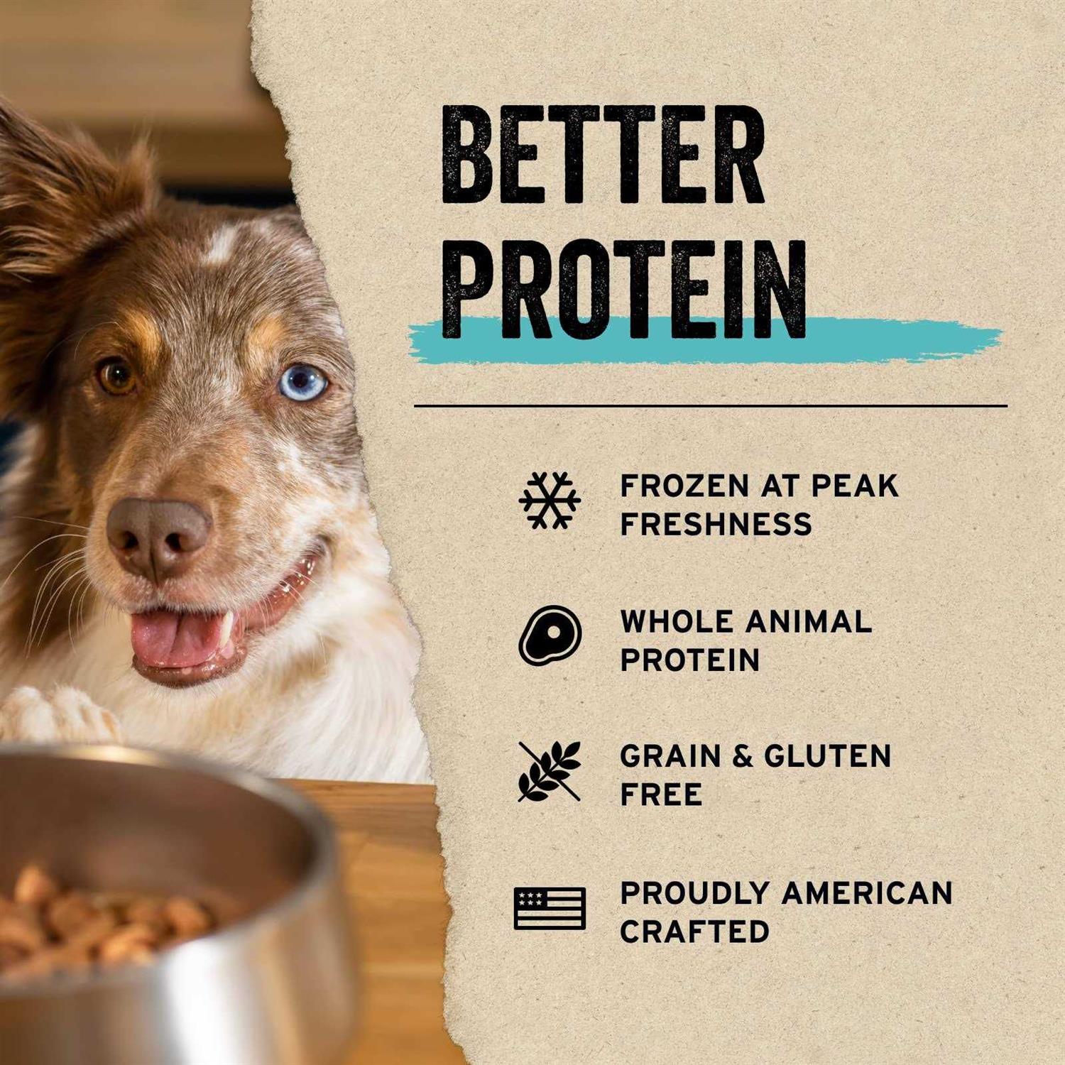 Freeze Dried Raw Salmon Recipe Mini Nibs Topper for Dogs Y490