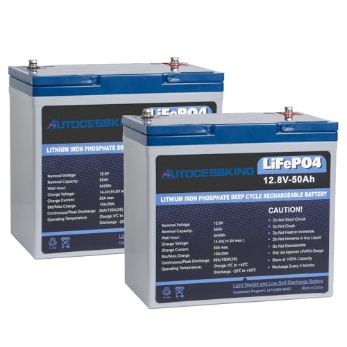 12V 100Ah BCI Group 24 LiFePO4 Battery with Low-Temp Protection O888999