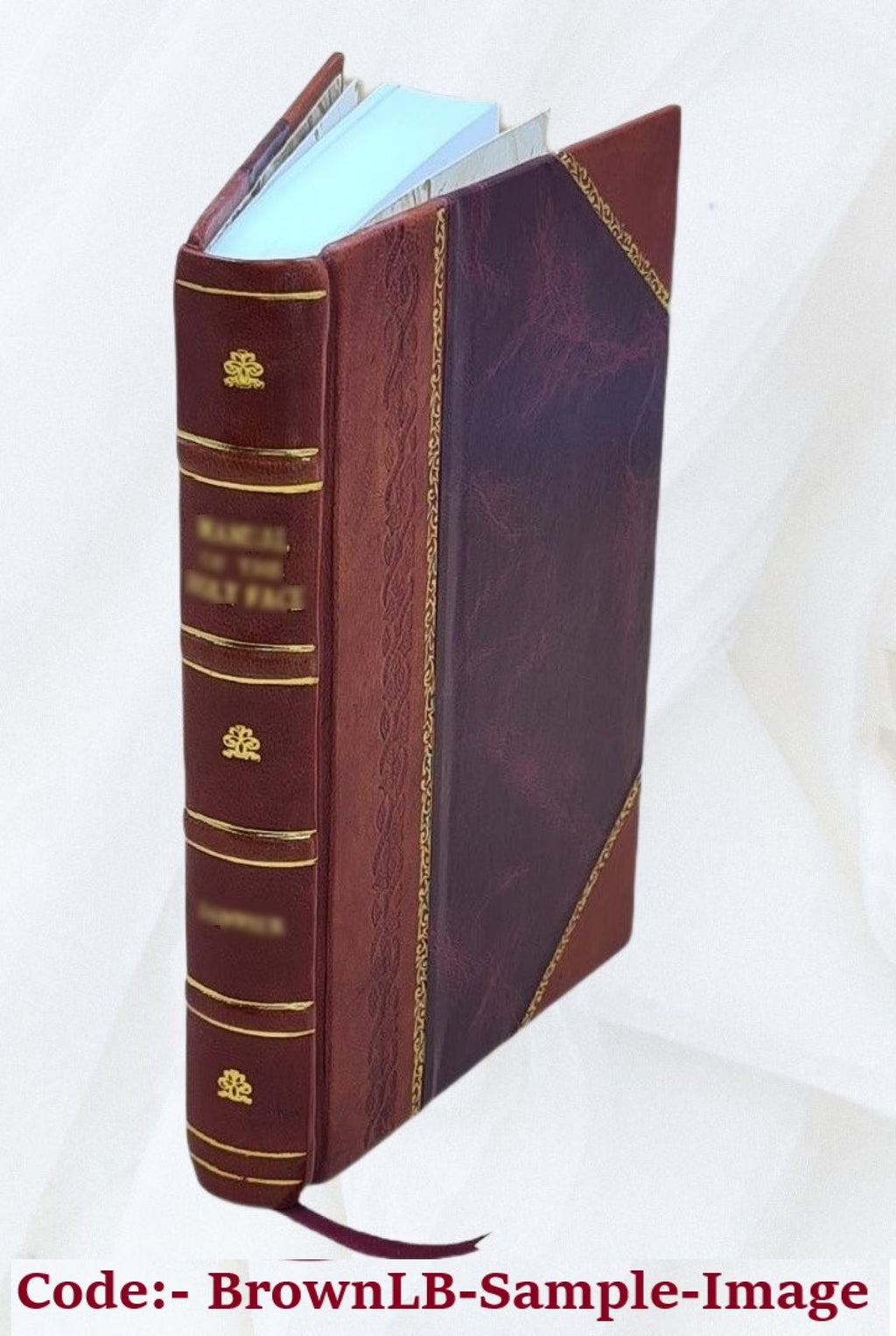 Germany, the next republic? By Carl W. Ackerman. 1917 [Leather Bound] I256710