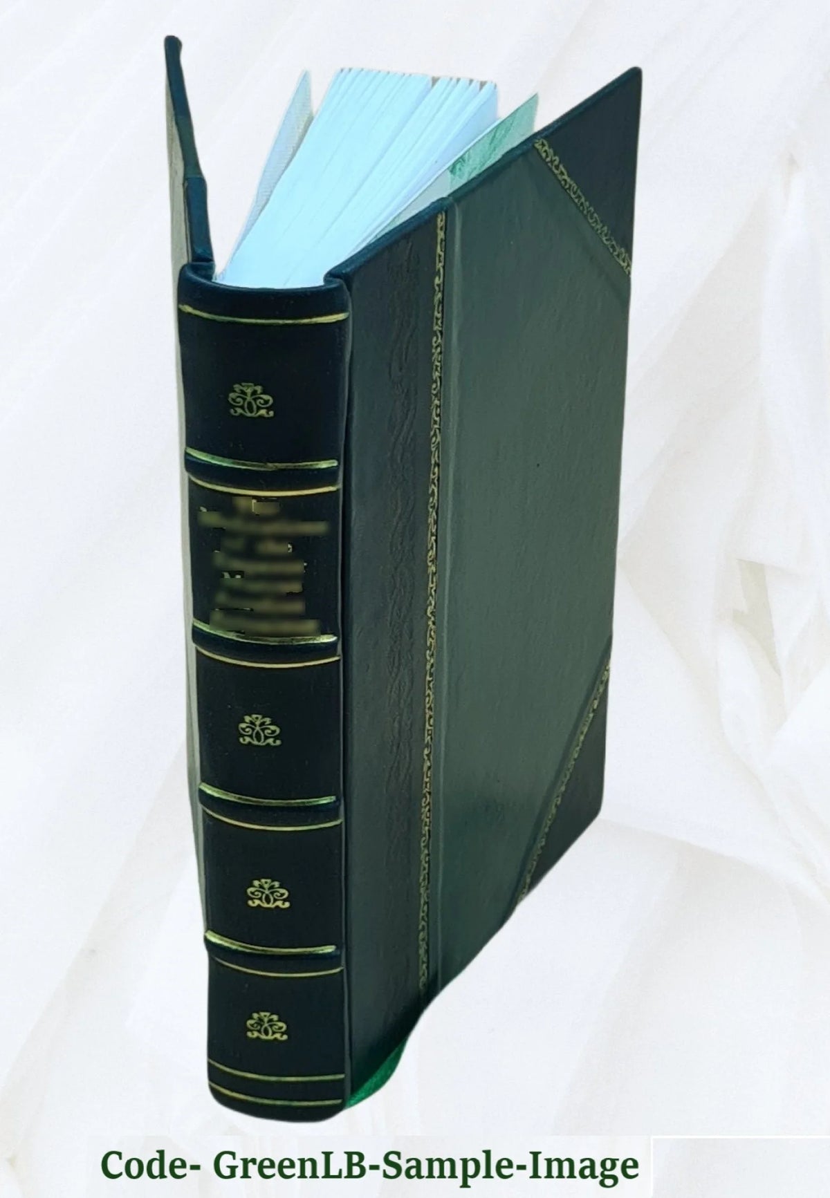 The novitiate: or, The Jesuit in training, being a year's residence among the English Jesuits: a personal narrative. 1847 Leather Bound X80356