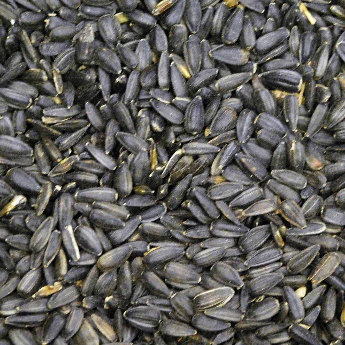 50 lbs Black Oil Sunflower Wild Bird Feed N2715