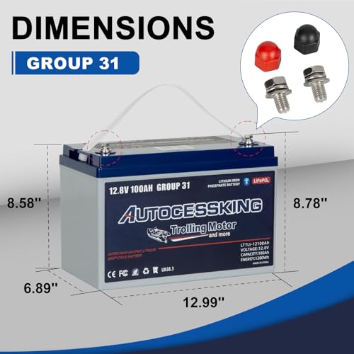 12V 100Ah BCI Group 24 LiFePO4 Battery with Low-Temp Protection O888999