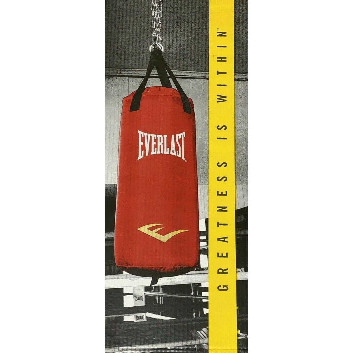40 Lbs. Heavy Punching Bag Kit V2221
