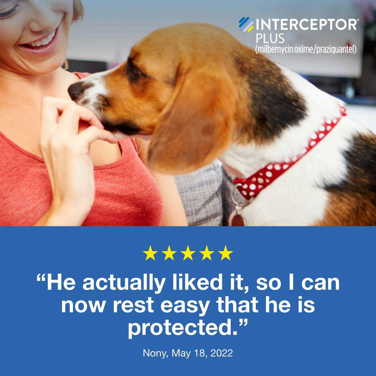Interceptor Plus Chewable for Dogs P716
