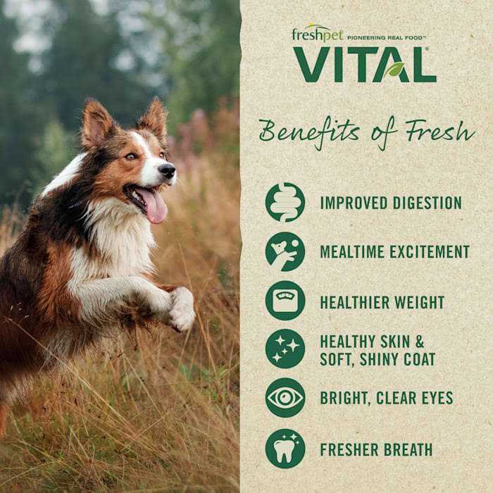 Grain-Free Chicken Fresh Small Breed Dog Food U144