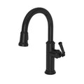 Gloss Black Pull Down Faucet E2650