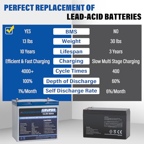 12V 100Ah BCI Group 24 LiFePO4 Battery with Low-Temp Protection O888999