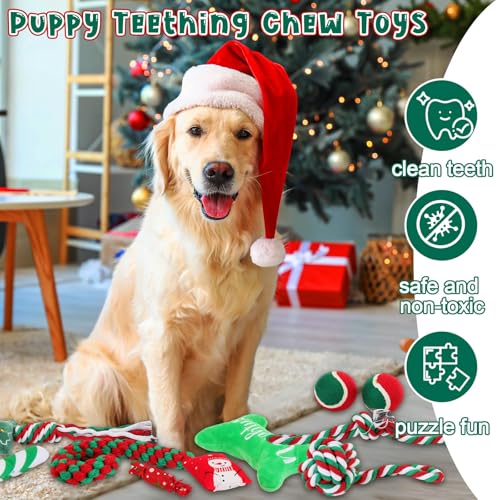 16 Pcs Christmas Dog Advent Calendar Squeaky Toys Candy Cane Interactive Ball Bones Chew Toy V7514