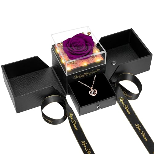 Preserved Red Rose Flower with Necklace and Light N331994