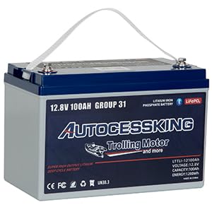 12V 100Ah BCI Group 24 LiFePO4 Battery with Low-Temp Protection O888999