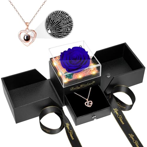 Preserved Red Rose Flower with Necklace and Light N331994