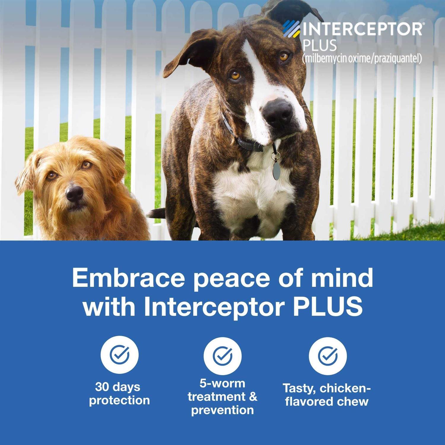 Interceptor Plus Chewable for Dogs P716