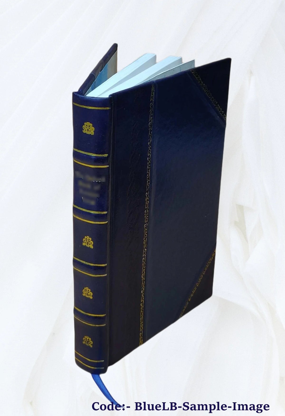 The novitiate: or, The Jesuit in training, being a year's residence among the English Jesuits: a personal narrative. 1847 Leather Bound X80356