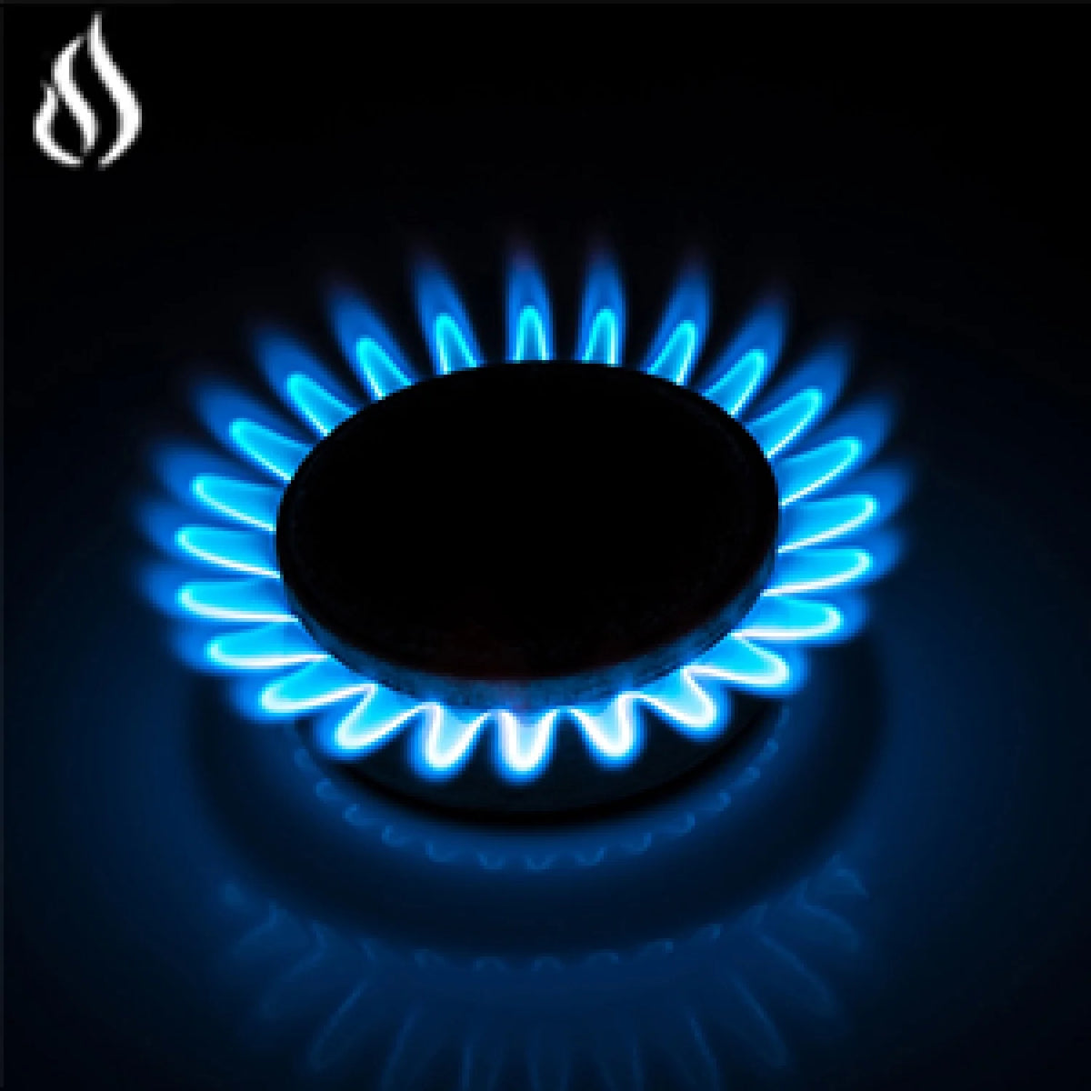 30 Inch Propane Gas Cooktop, 5 Burner Built-in Stainless Steel Gas Stove Top Z27972