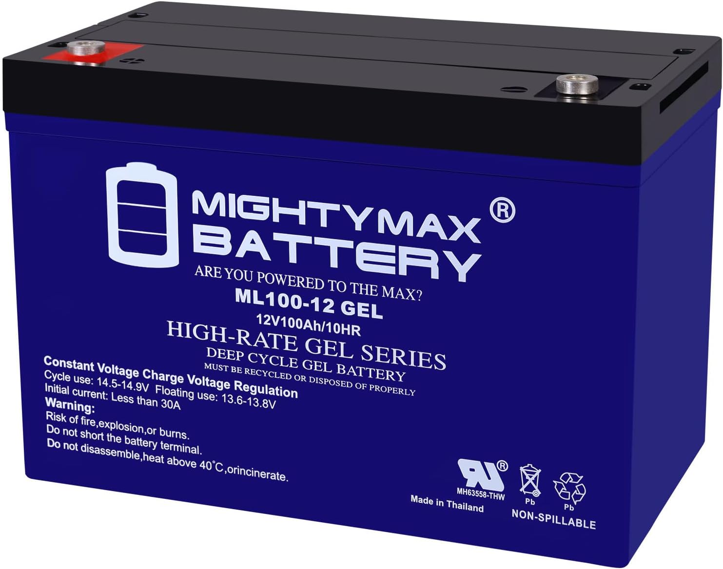 12V 100AH Gel Battery T109011