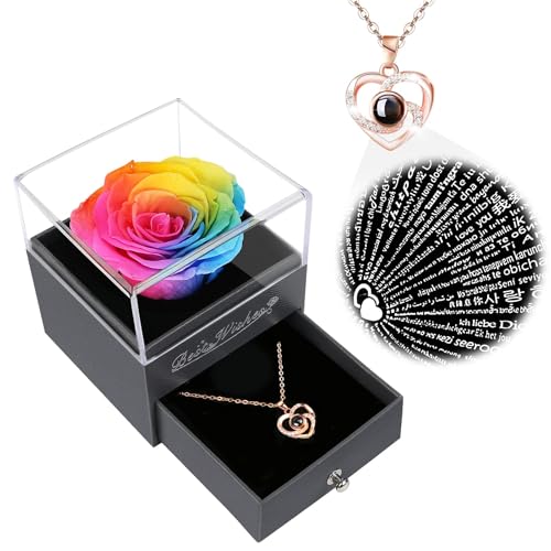 Preserved Red Rose Flower with Necklace and Light N331994