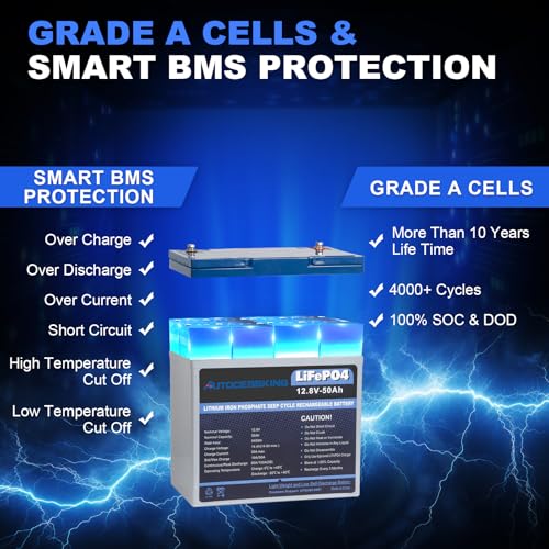 12V 100Ah BCI Group 24 LiFePO4 Battery with Low-Temp Protection O888999