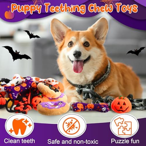 16 Pcs Christmas Dog Advent Calendar Squeaky Toys Candy Cane Interactive Ball Bones Chew Toy V7514