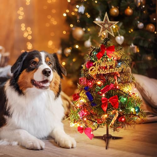 20 Inch Table Top Christmas Tree with LED Lights T4625
