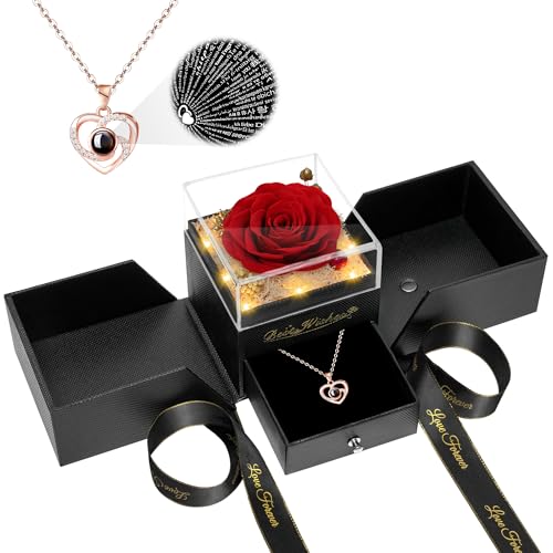 Preserved Red Rose Flower with Necklace and Light N331994