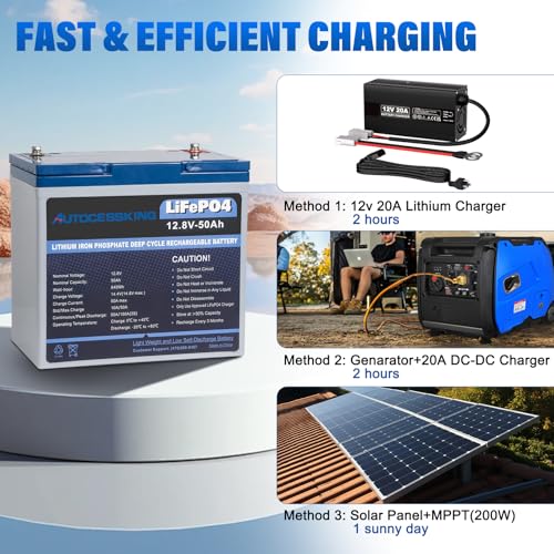 12V 100Ah BCI Group 24 LiFePO4 Battery with Low-Temp Protection O888999