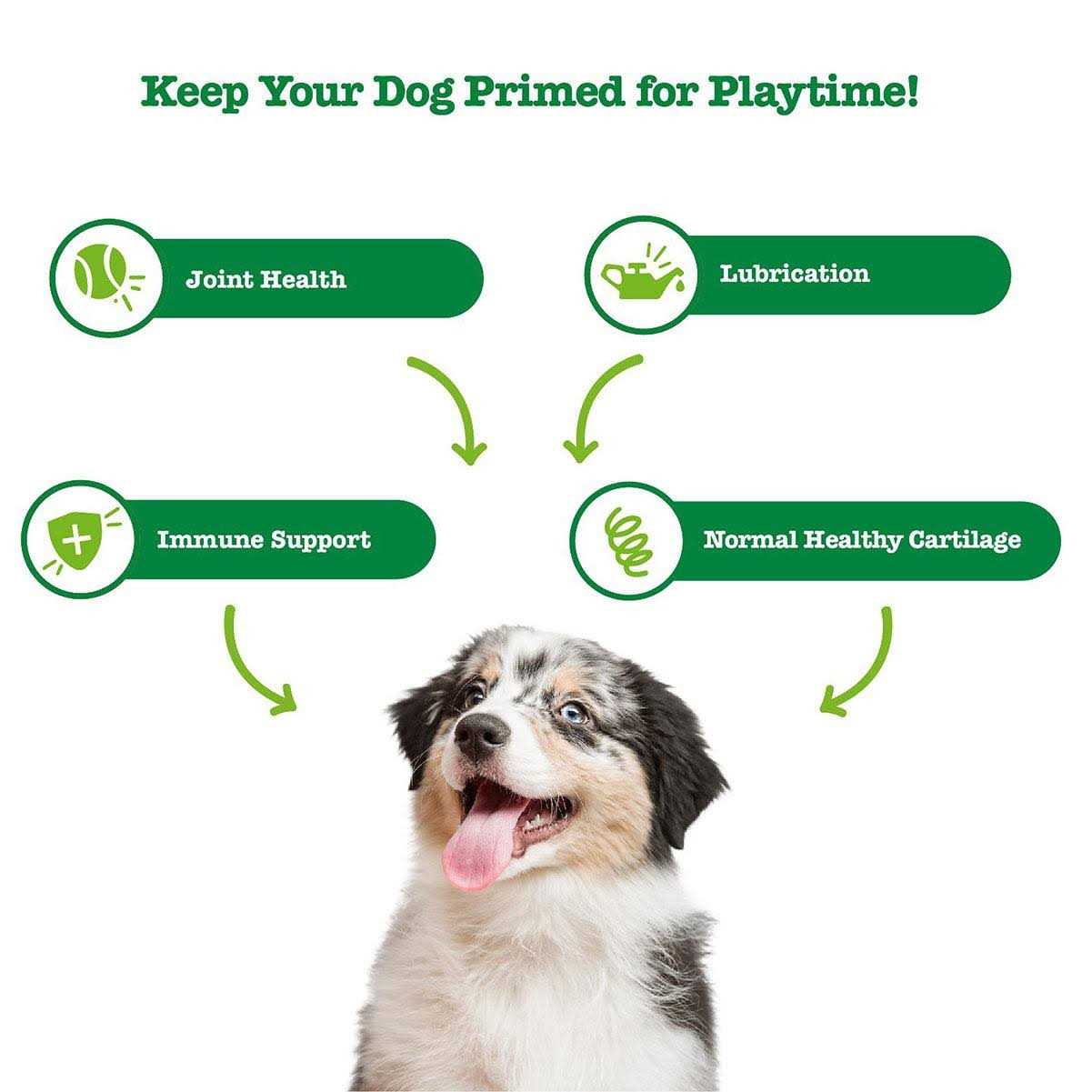 Hemp Mobility Bites for Dogs T235