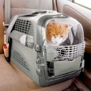 Cat Carrier Y973928