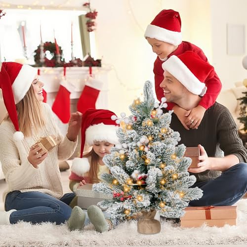 Flocked Artificial Mini Christmas Tree with Lights and Ornaments O8821