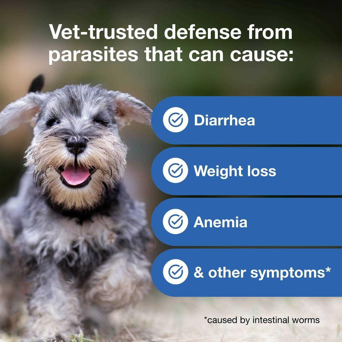 Interceptor Plus Chewable for Dogs P716