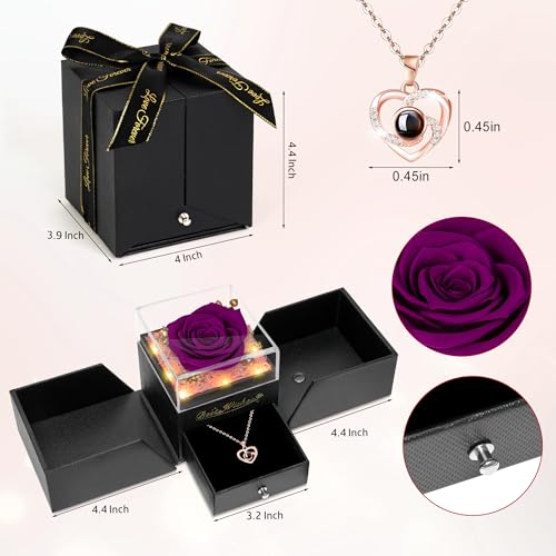 Preserved Red Rose Flower with Necklace and Light N331994