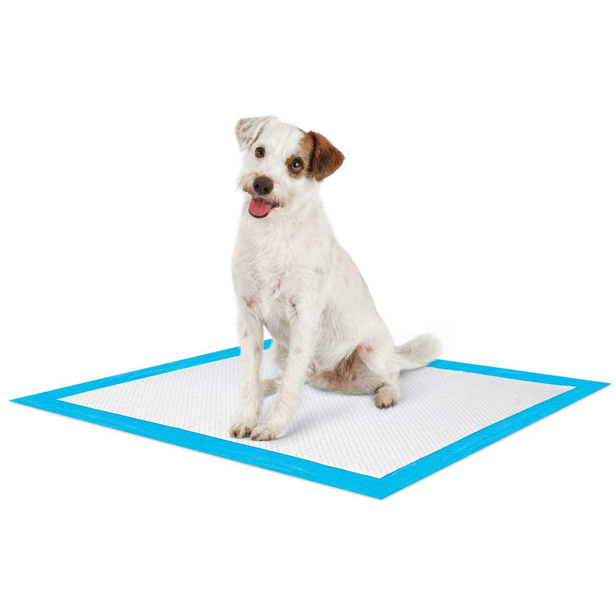 Large Leak Guard Quilted Potty Pads E985