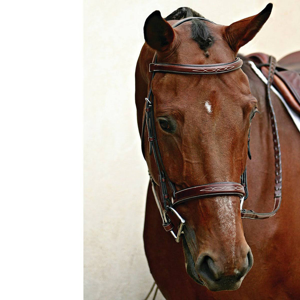 Havana Bridle E89204