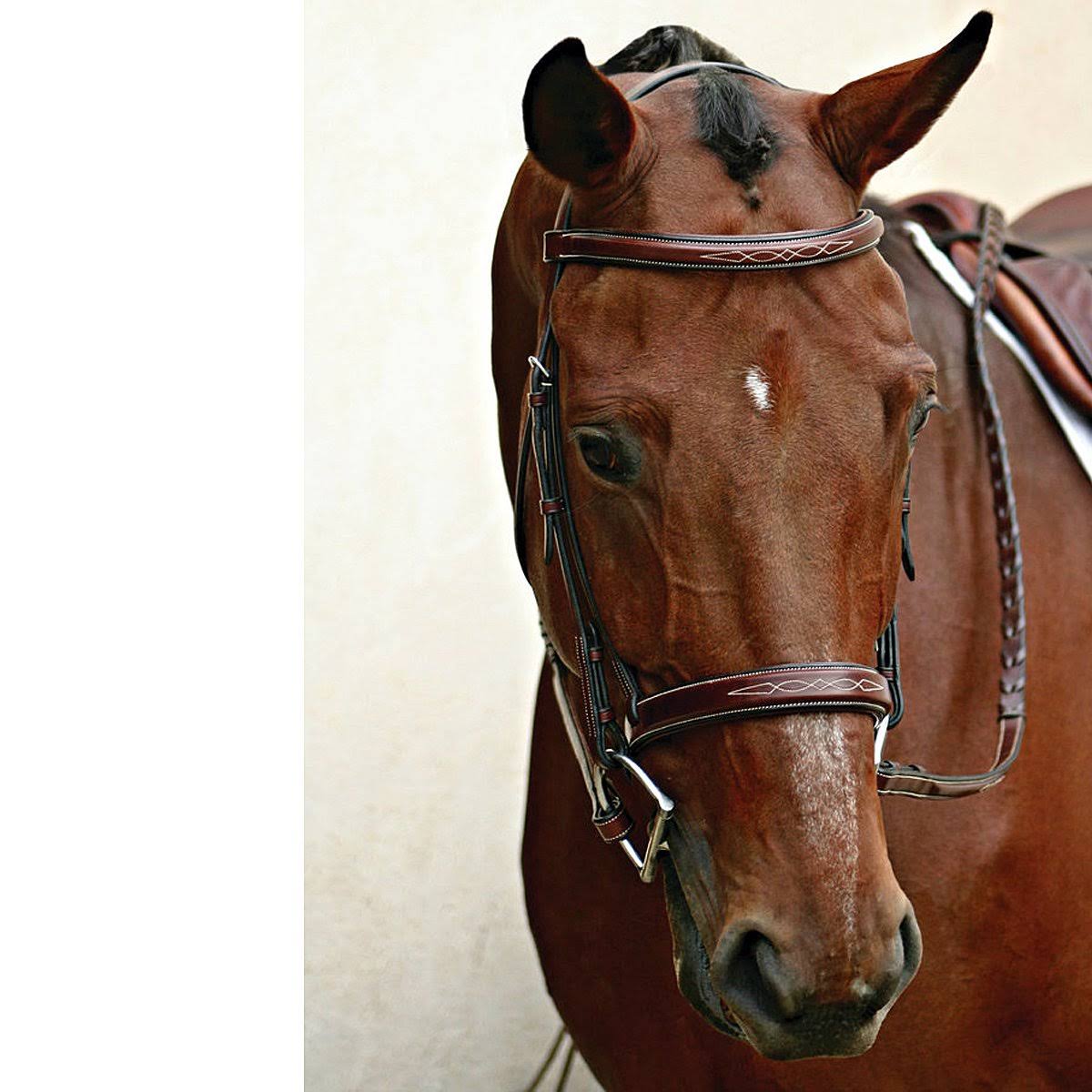 Havana Bridle E89204
