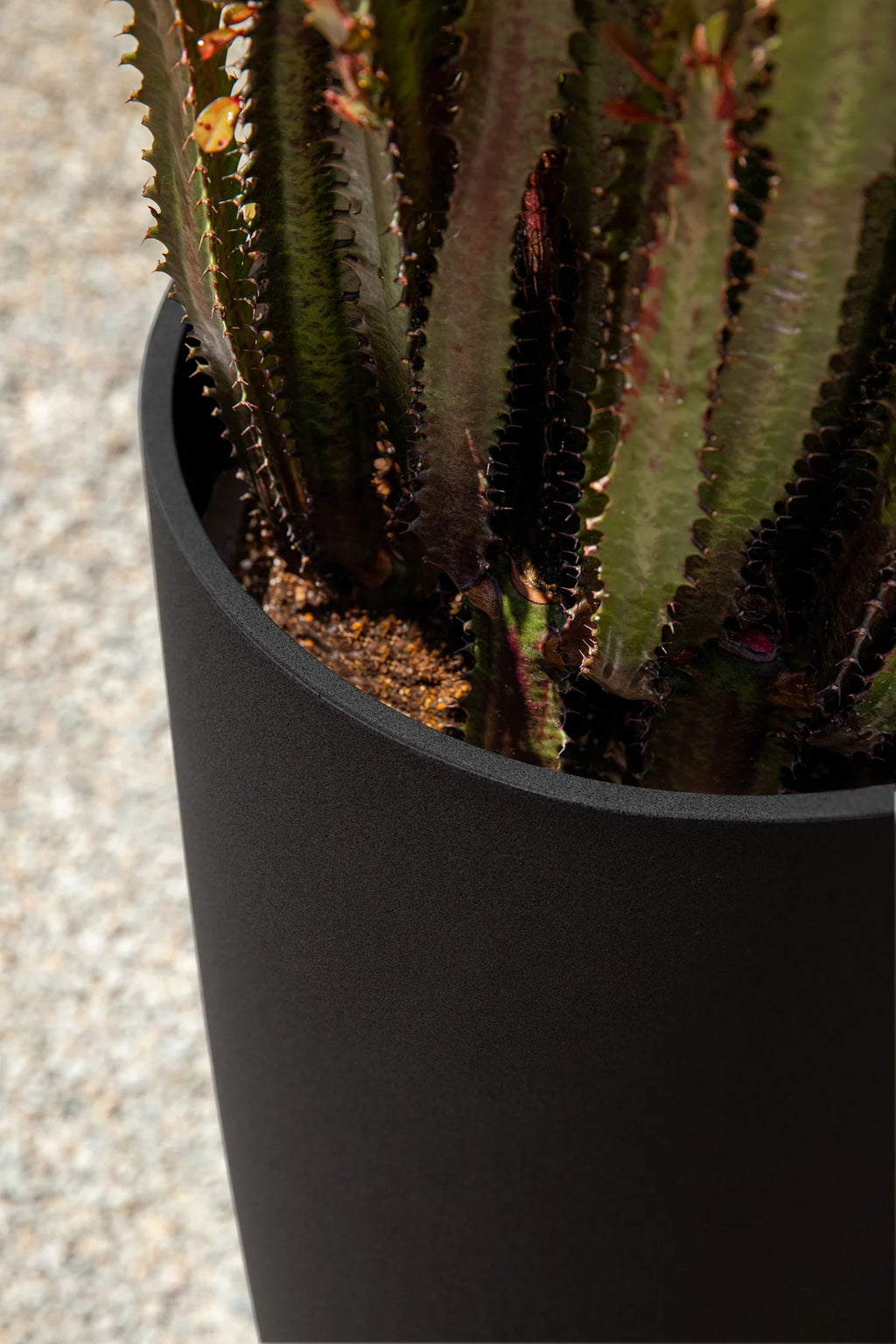 Black 2-Pack Plastic-Stone Planter Q566