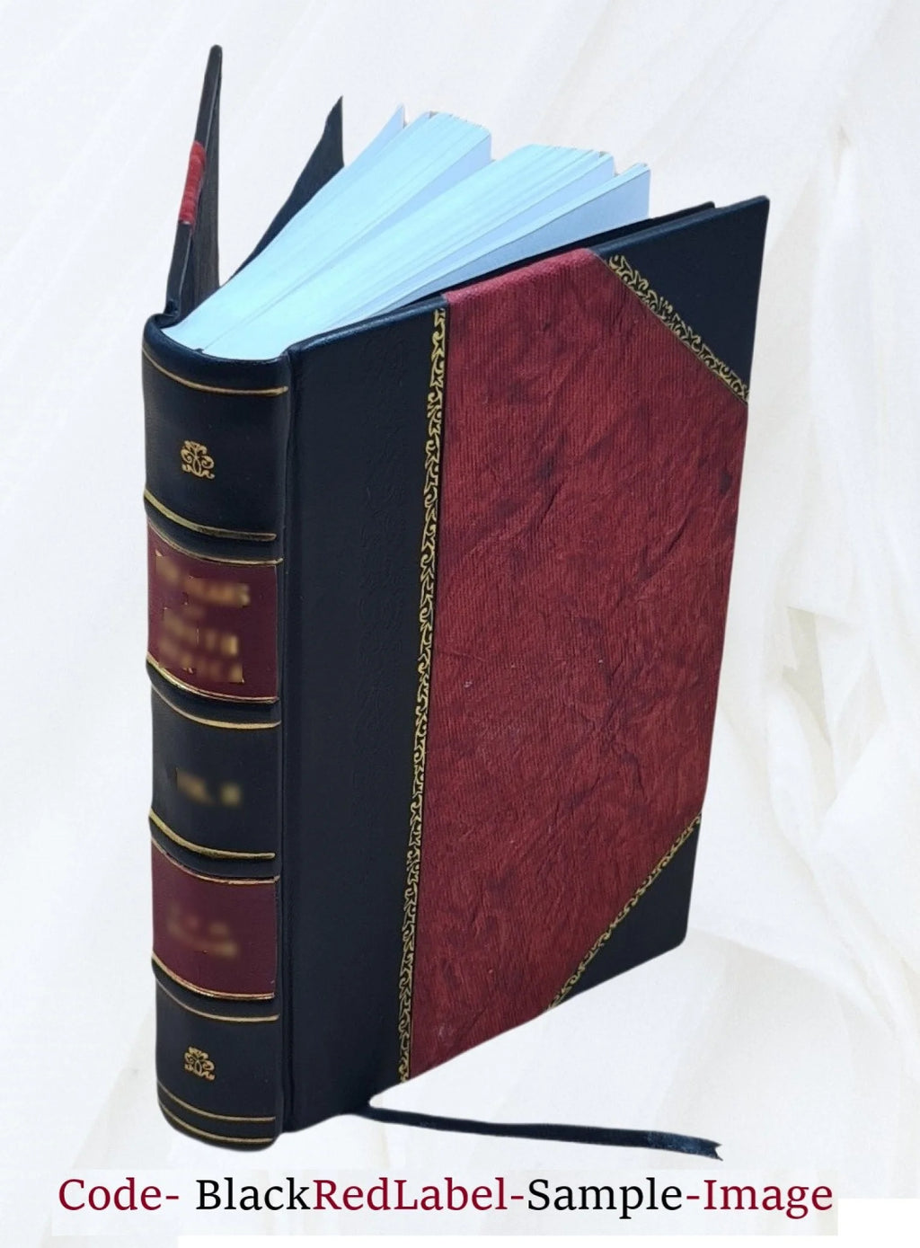 The novitiate: or, The Jesuit in training, being a year's residence among the English Jesuits: a personal narrative. 1847 Leather Bound X80356
