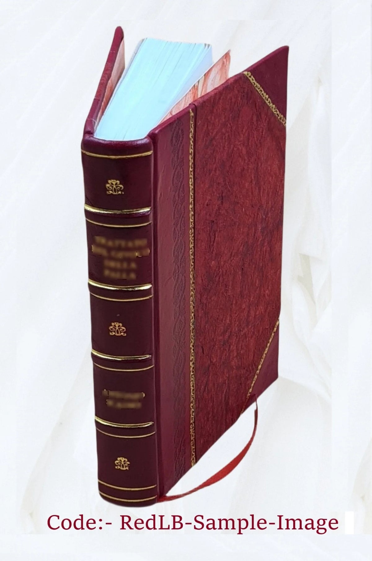 Germany, the next republic? By Carl W. Ackerman. 1917 [Leather Bound] I256710